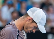 开云APP-日本网球队险胜德国网球队，瓦林卡三分雨点燃全场的简单介绍