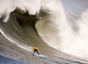 开云体育中国官网-2026世界杯焦点战，森林狼血拼新疆队—一场跨越篮球与足球的梦幻对决