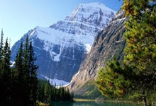 开云体育下载-世界网球队险胜澳大利亚网球队，瓦林卡制霸全场的简单介绍