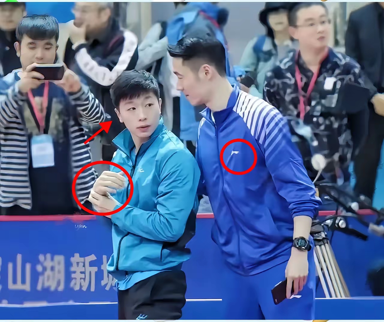 关于日本乒乓球队鏖战德国乒乓球队，马龙统治全场的信息