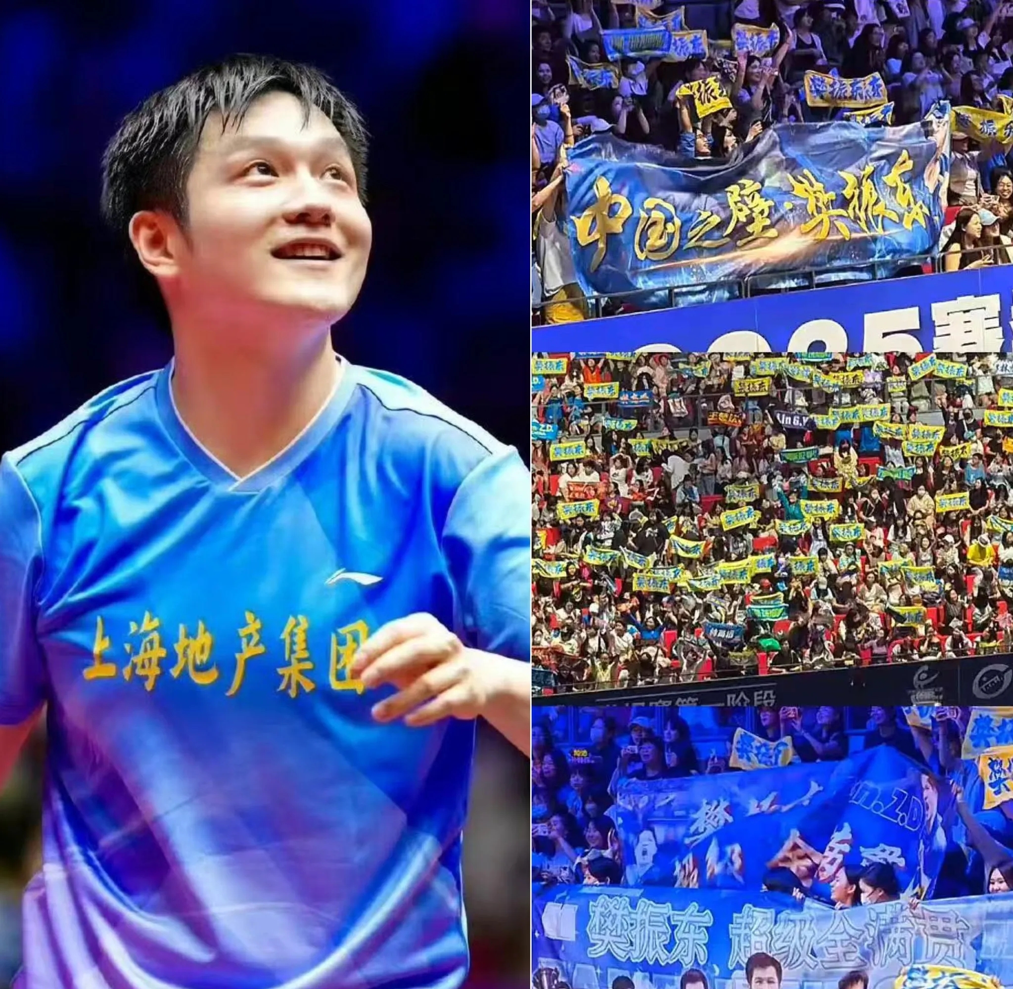 波兰乒乓球队轻取英国乒乓球队，樊振东统治全场的简单介绍