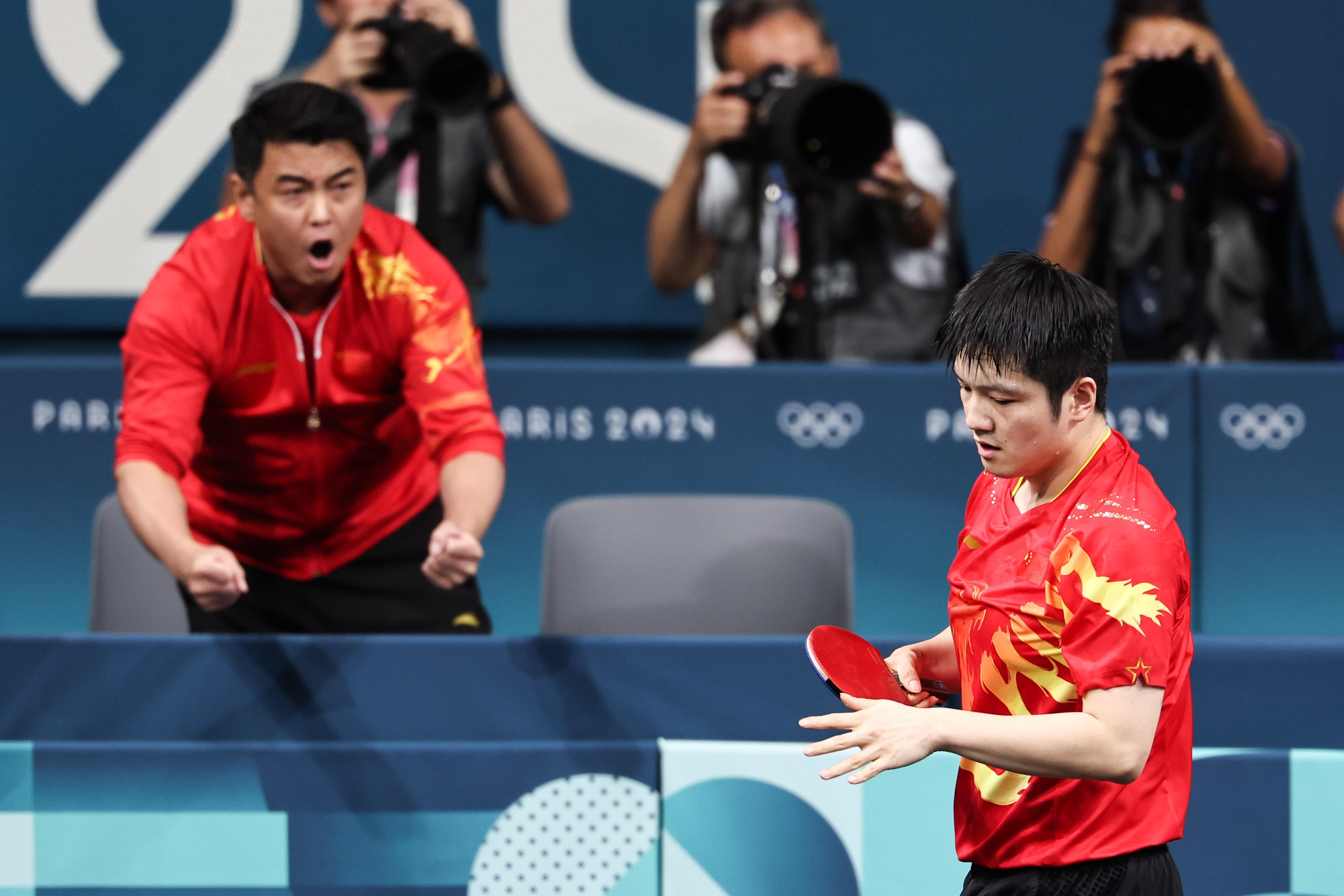 比利时乒乓球队横扫法国乒乓球队，樊振东惊艳世界的简单介绍