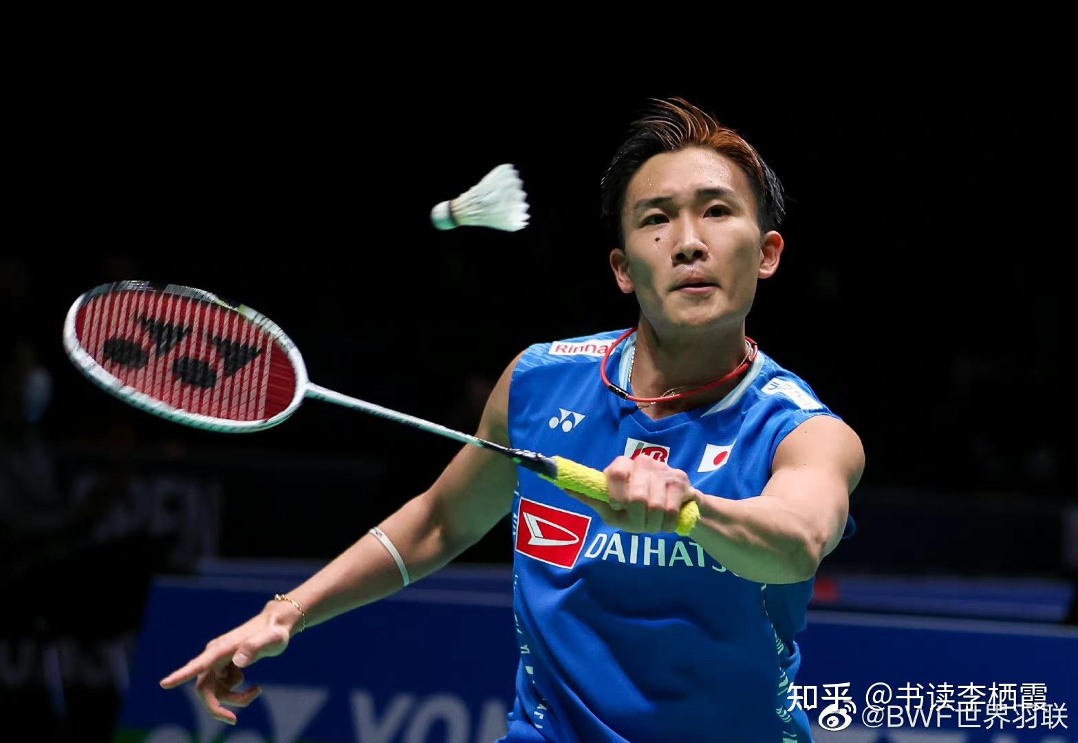 法国羽毛球队翻盘丹麦羽毛球队，桃田贤斗绝境逆转的简单介绍