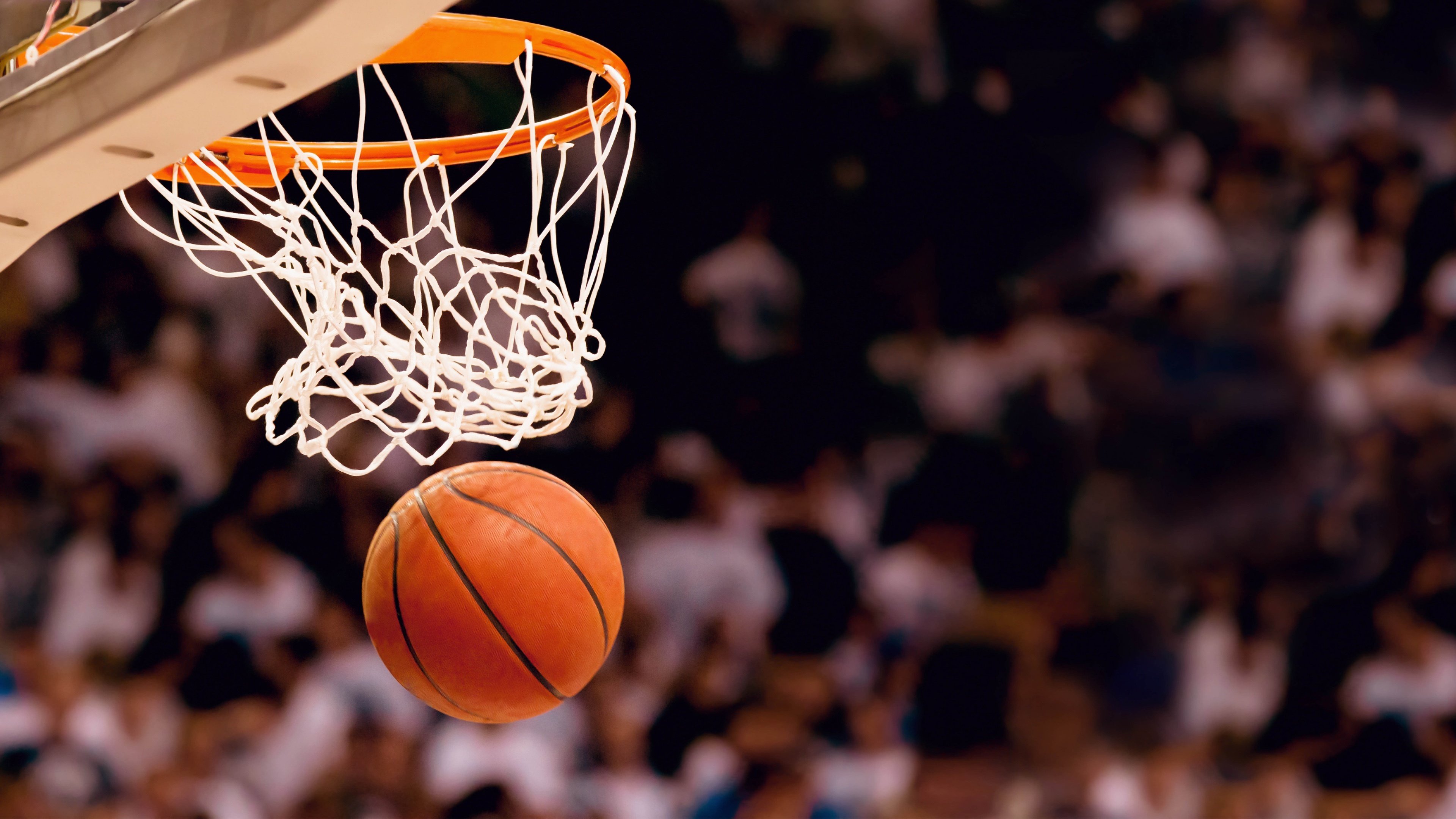 节奏之王的独舞,2026世界杯A组关键战,挪威完胜丹麦,塔雷米以掌控之力书写唯一剧本